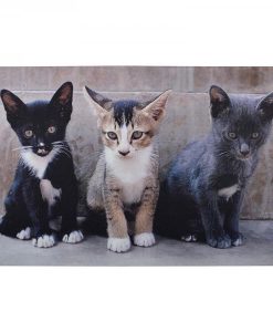 Cicás lábtörlő – 3 cicával